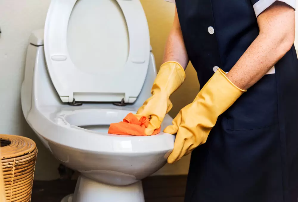 como desentupir vaso sanitário